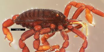 Media type: image; Invertebrate Zoology 133769